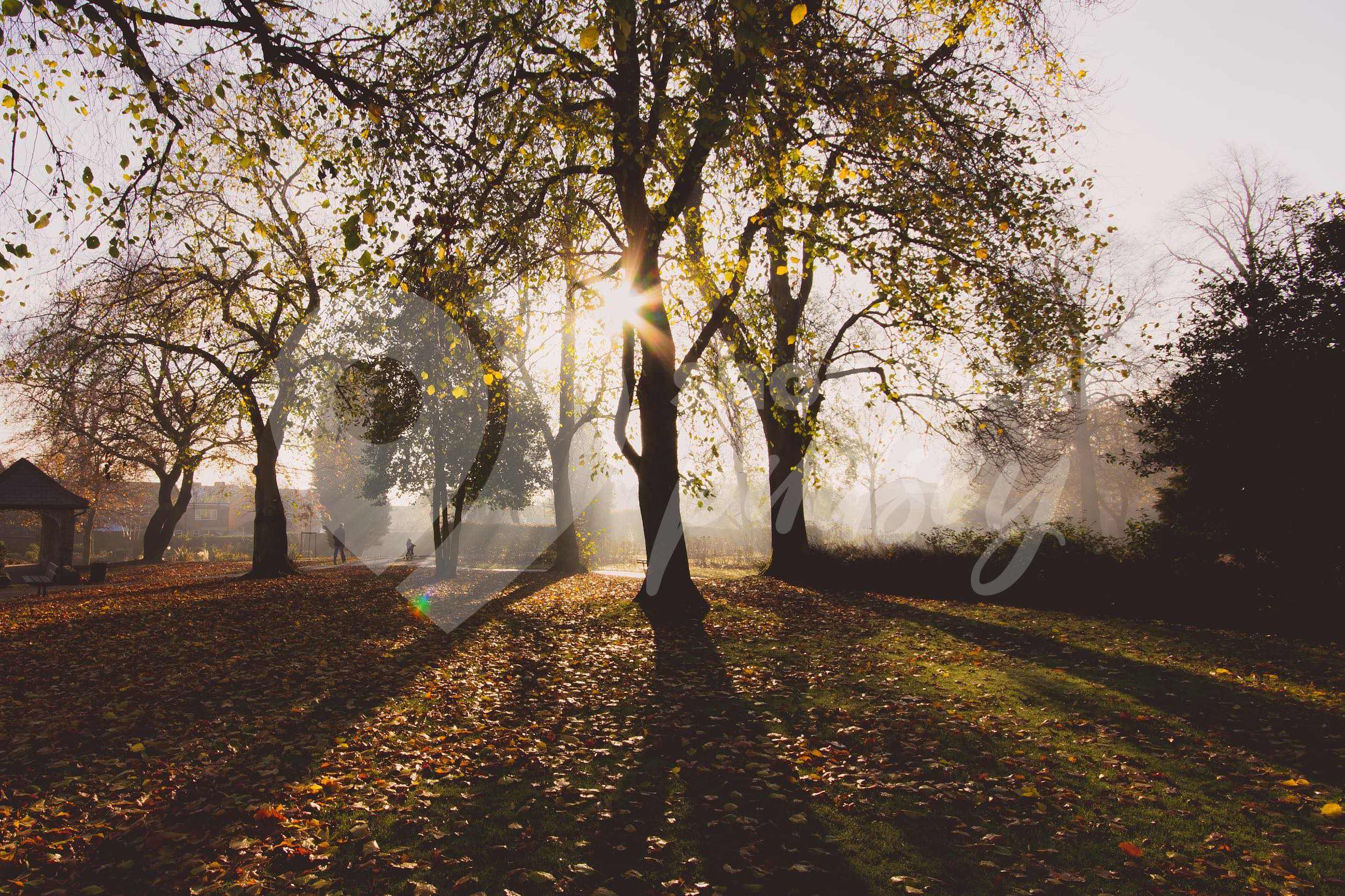 Request business removal